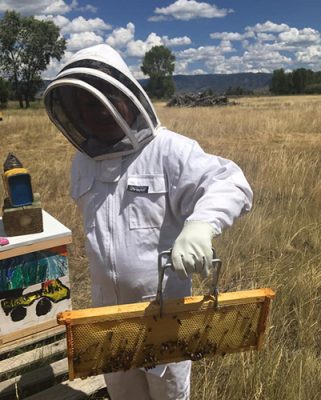 Katie Williams holding up a honeycomb frame at a Sticky Mountain beeyard